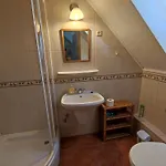 Tulipanos Haz *
