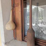 Tulipanos Haz * فيلينس
