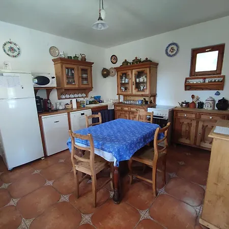 Tulipanos Haz Apartament