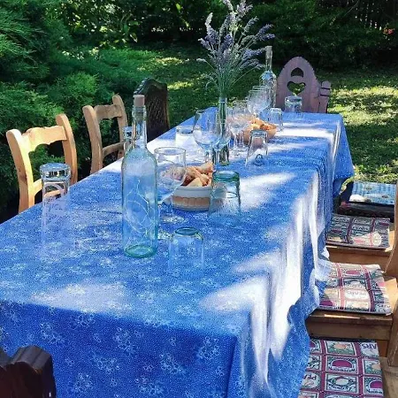 Tulipanos Haz * Velence