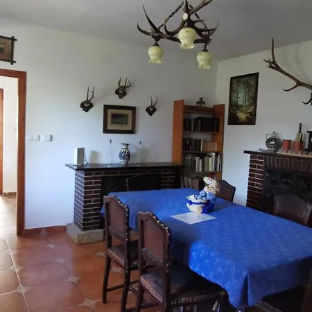 Tulipanos Haz Velence