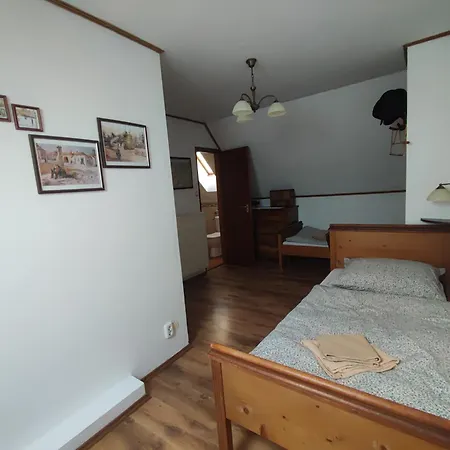 Tulipanos Haz Velence