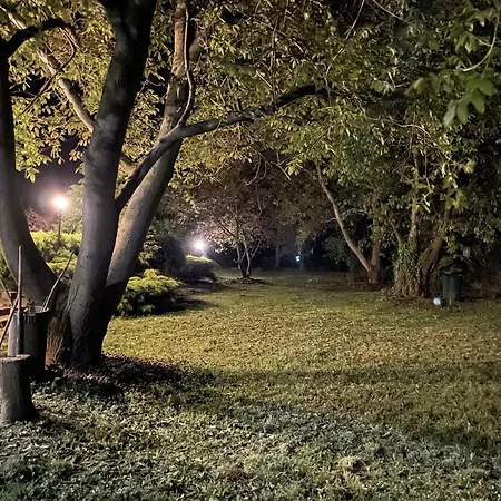 Apartament Tulipanos Haz Velence