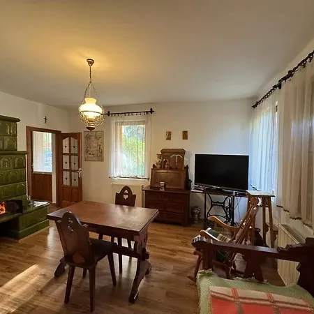 Tulipanos Haz Velence