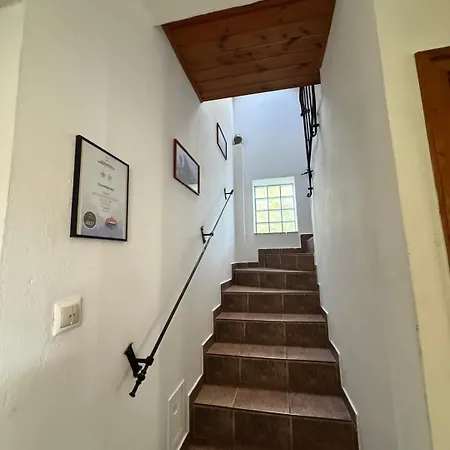 Tulipanos Haz Apartament Velence