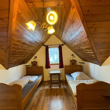 Tulipanos Haz Velence