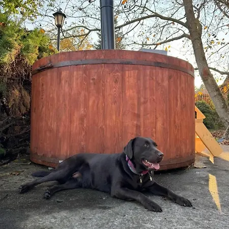 Apartament Tulipanos Haz *