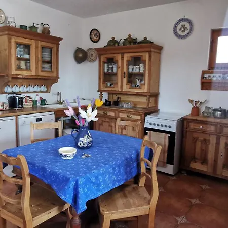 Tulipanos Haz Apartament