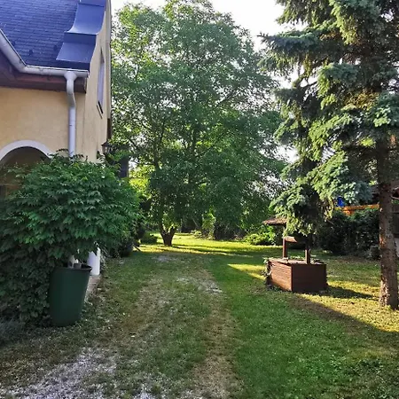 Tulipanos Haz Velence