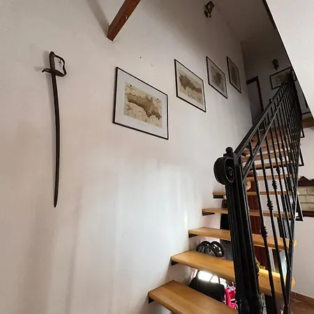 Tulipanos Haz Apartament *