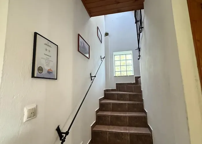 Tulipános Ház Apartman Velence